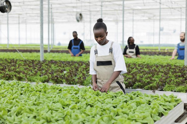 Comment appliquer la méthode OKR (Objectives and Key Results) dans une startup de la tech?